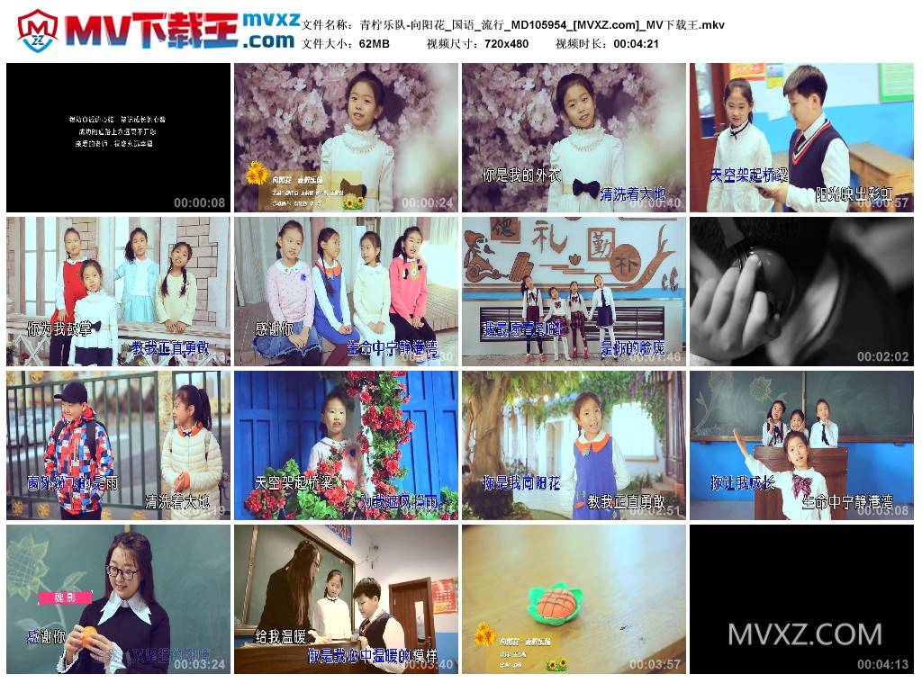 青柠乐队-向阳花_国语_流行_MD105954